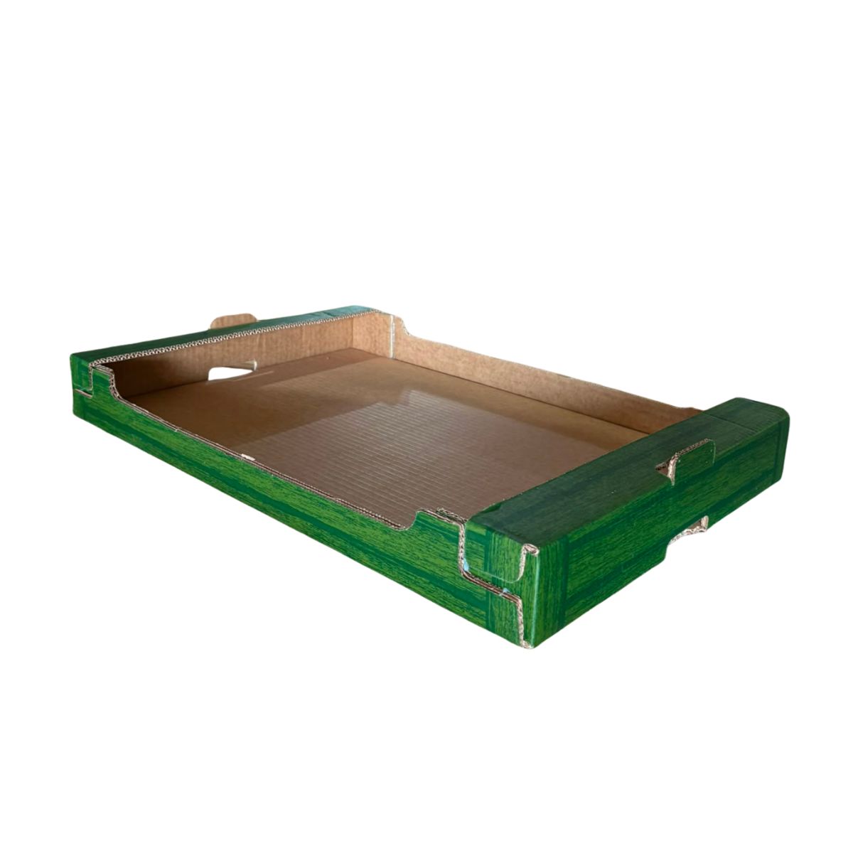 Vassoio di cartone verde con bordi bassi e manici su sfondo bianco.