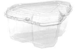 Contenitore da asporto in plastica trasparente a conchiglia con coperchio incernierato su sfondo bianco.