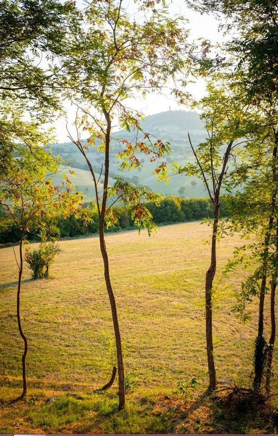 Campagna di Macerata