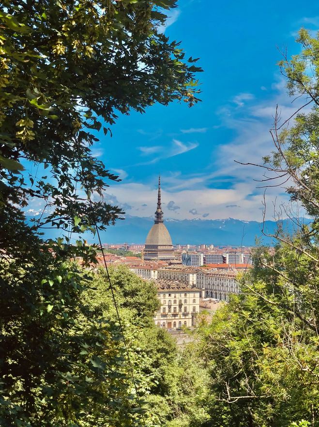 Veduta di Torino