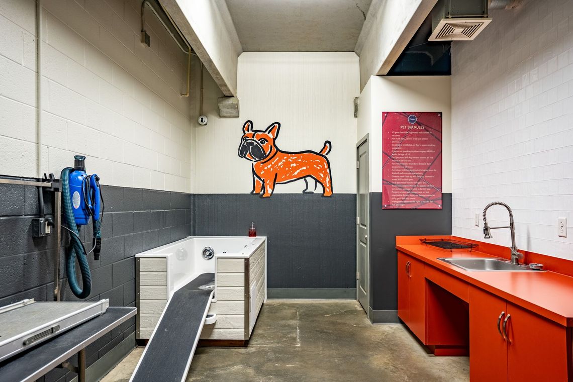 Dog grooming room with a white and black tub, orange cabinets, and a bulldog graphic on the wall.