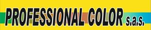 PROFESSIONAL COLOR sas-LOGO