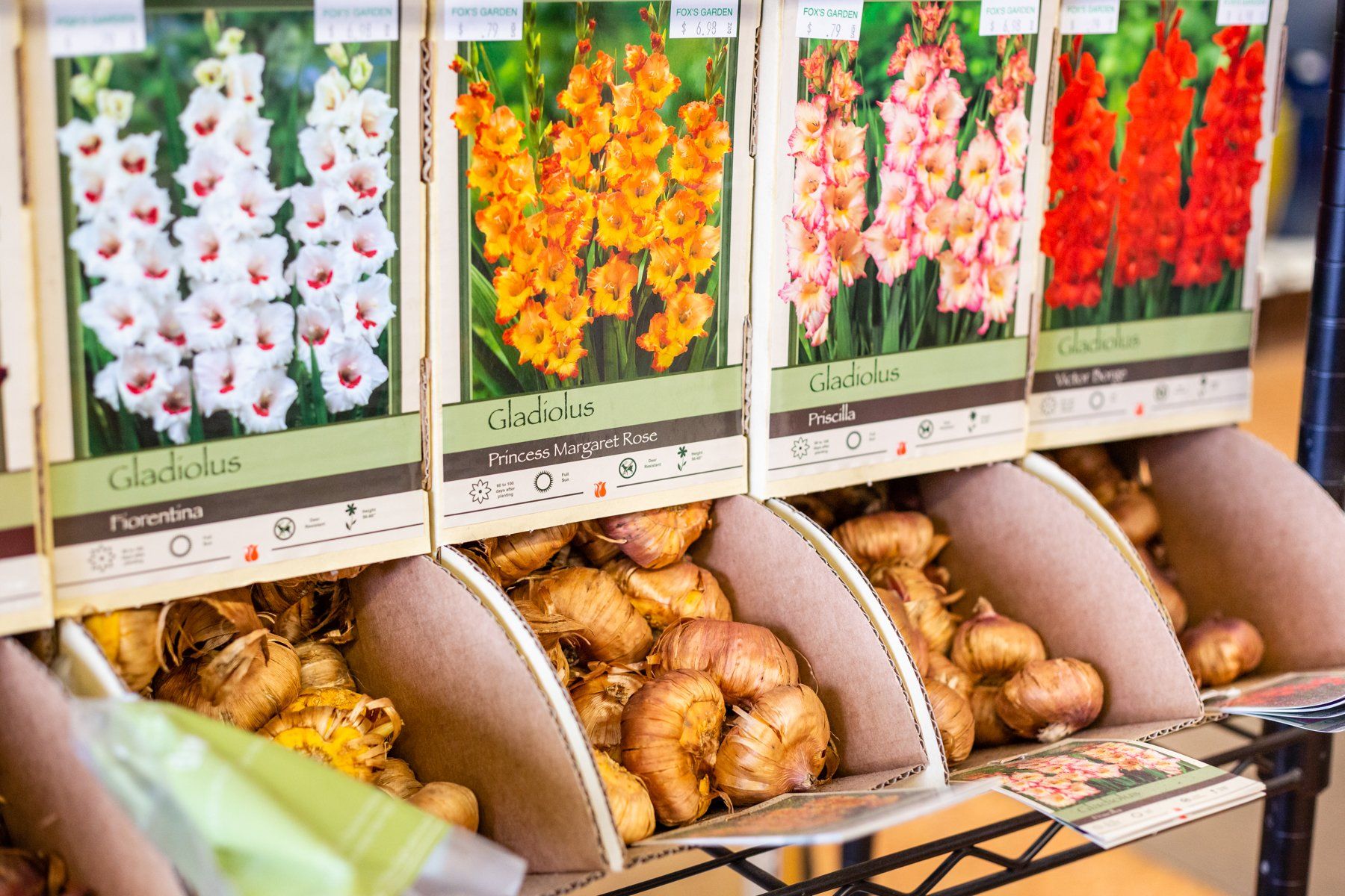 Seeds & Bulbs