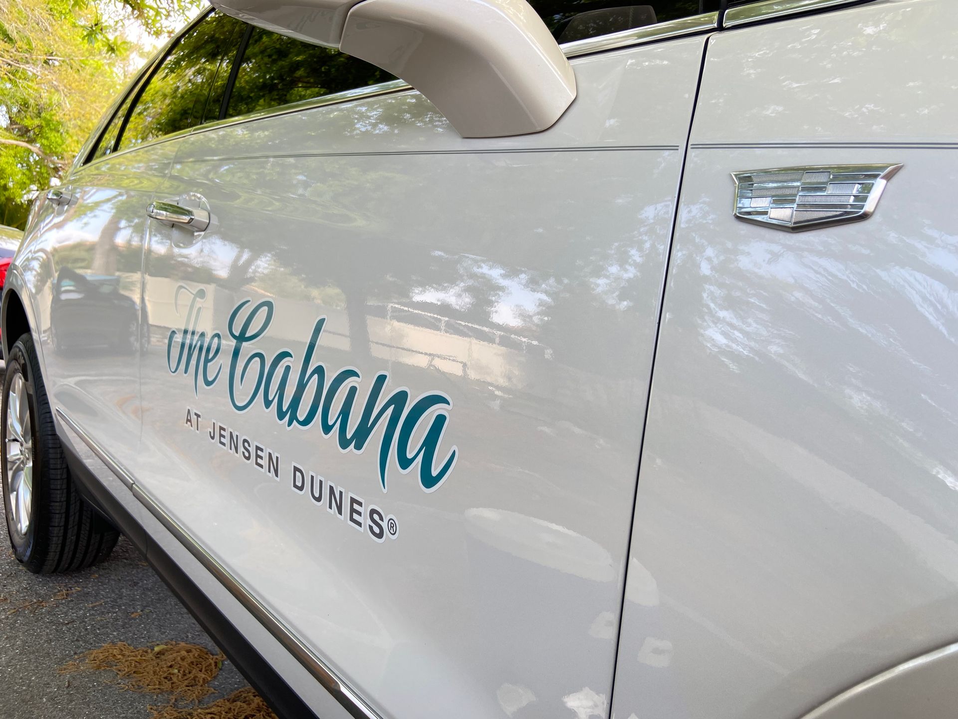 Vehicle Graphics