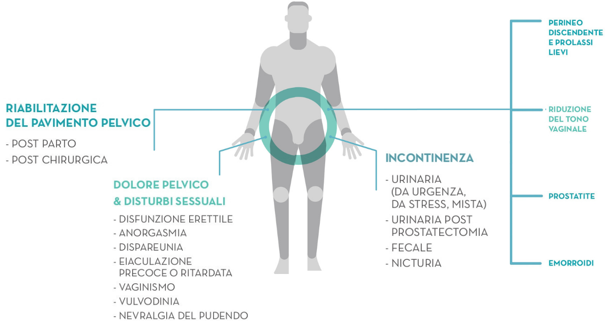 schema pavimento pelvico
