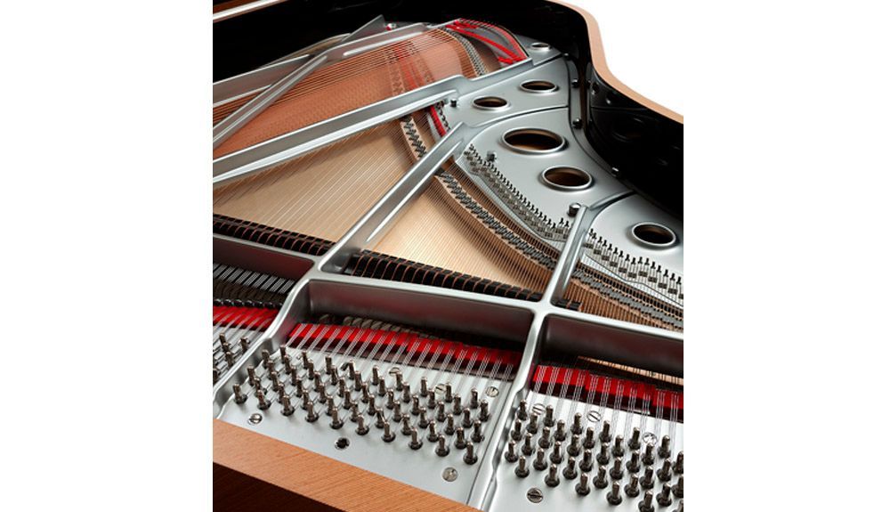 FAZIOLI Telus Grand Piano inside