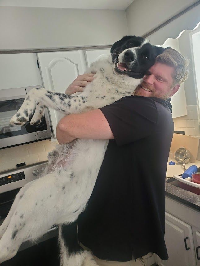 Strongarms Cleaners - A man is holding a black and white dog in his arms.