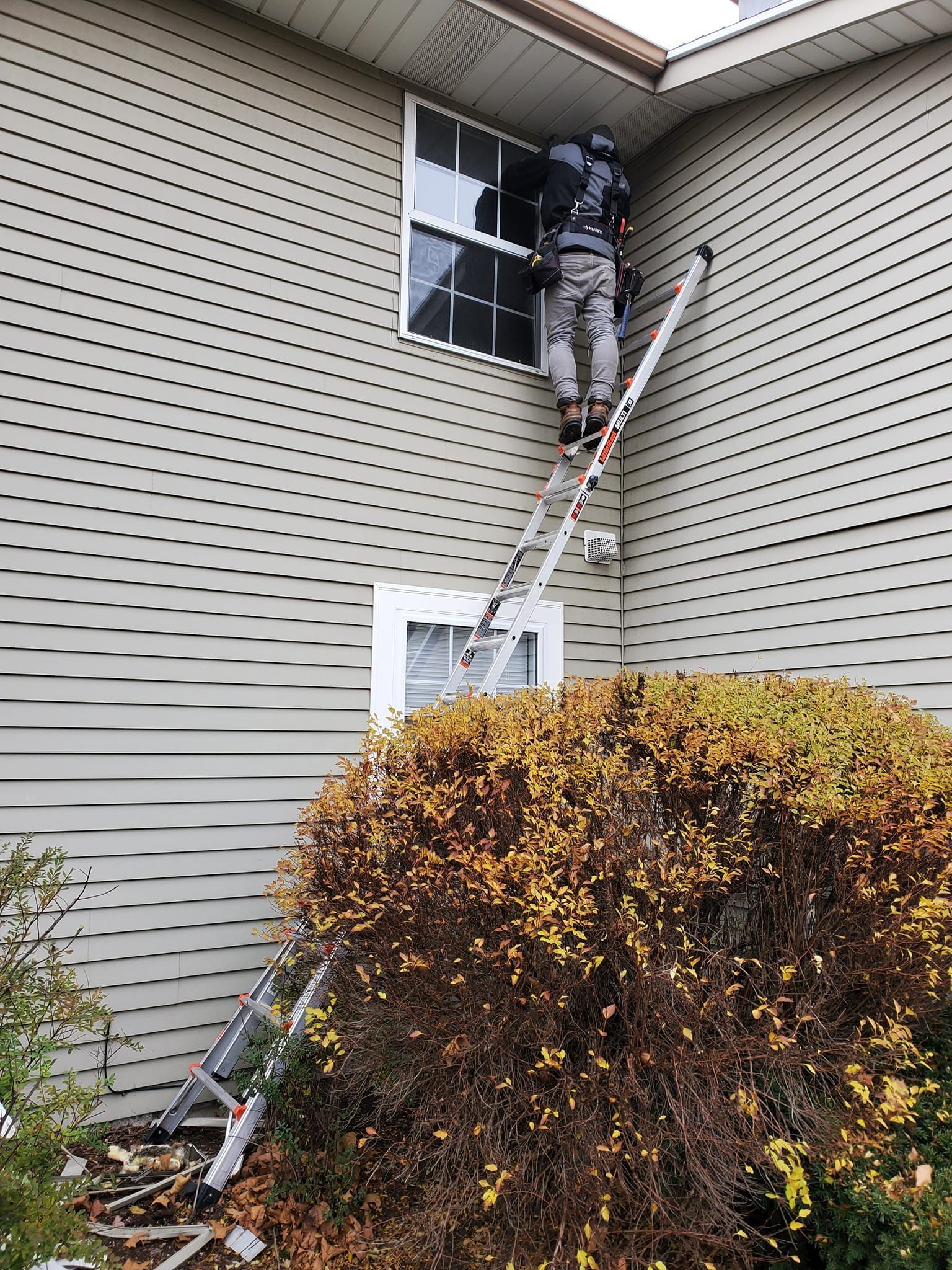 Worker on a ladder cleaning an upper window of a house beside a large shrub
