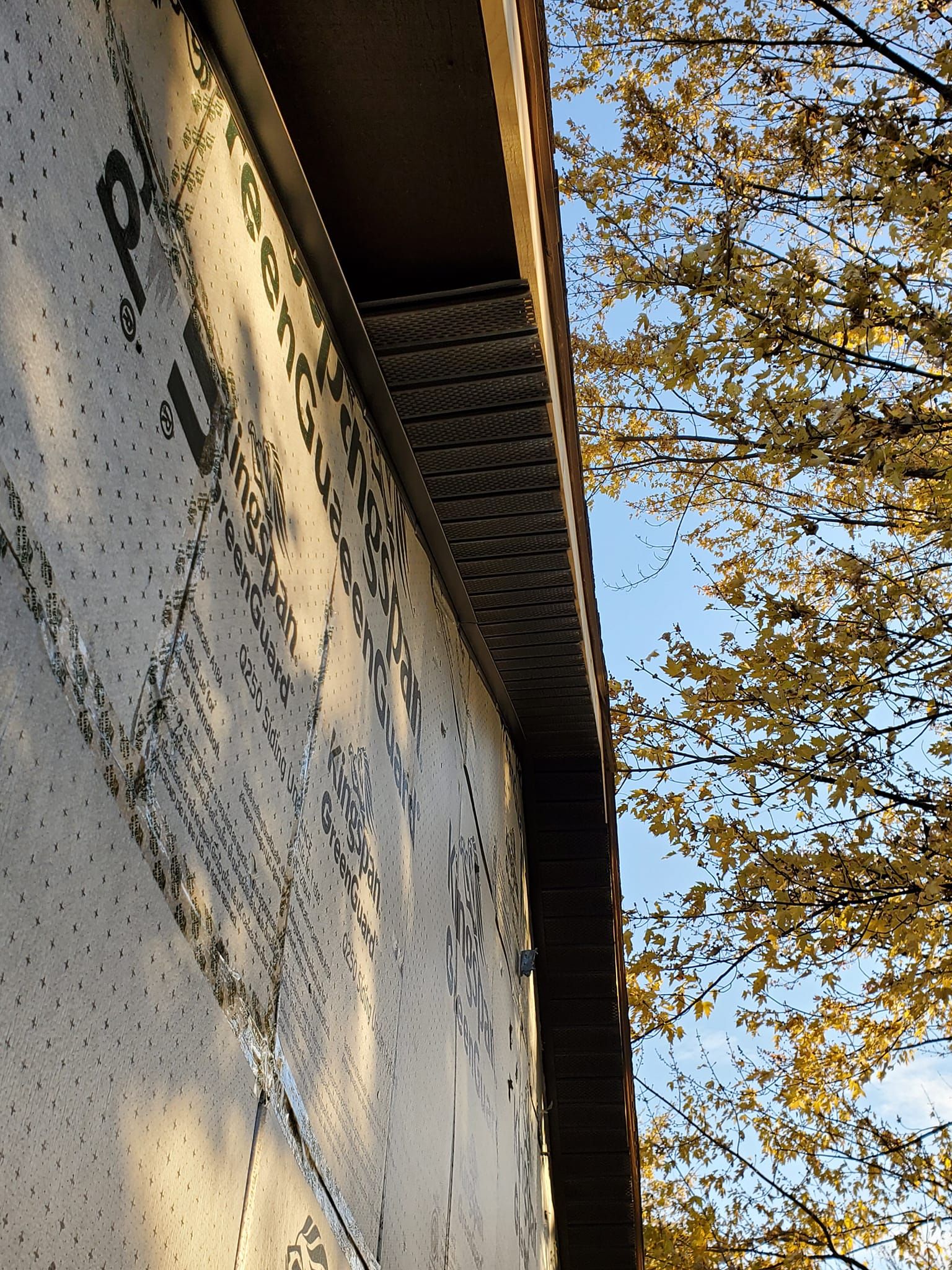Close-up of a white stucco building wall and roofline beside autumn trees against a blue sky