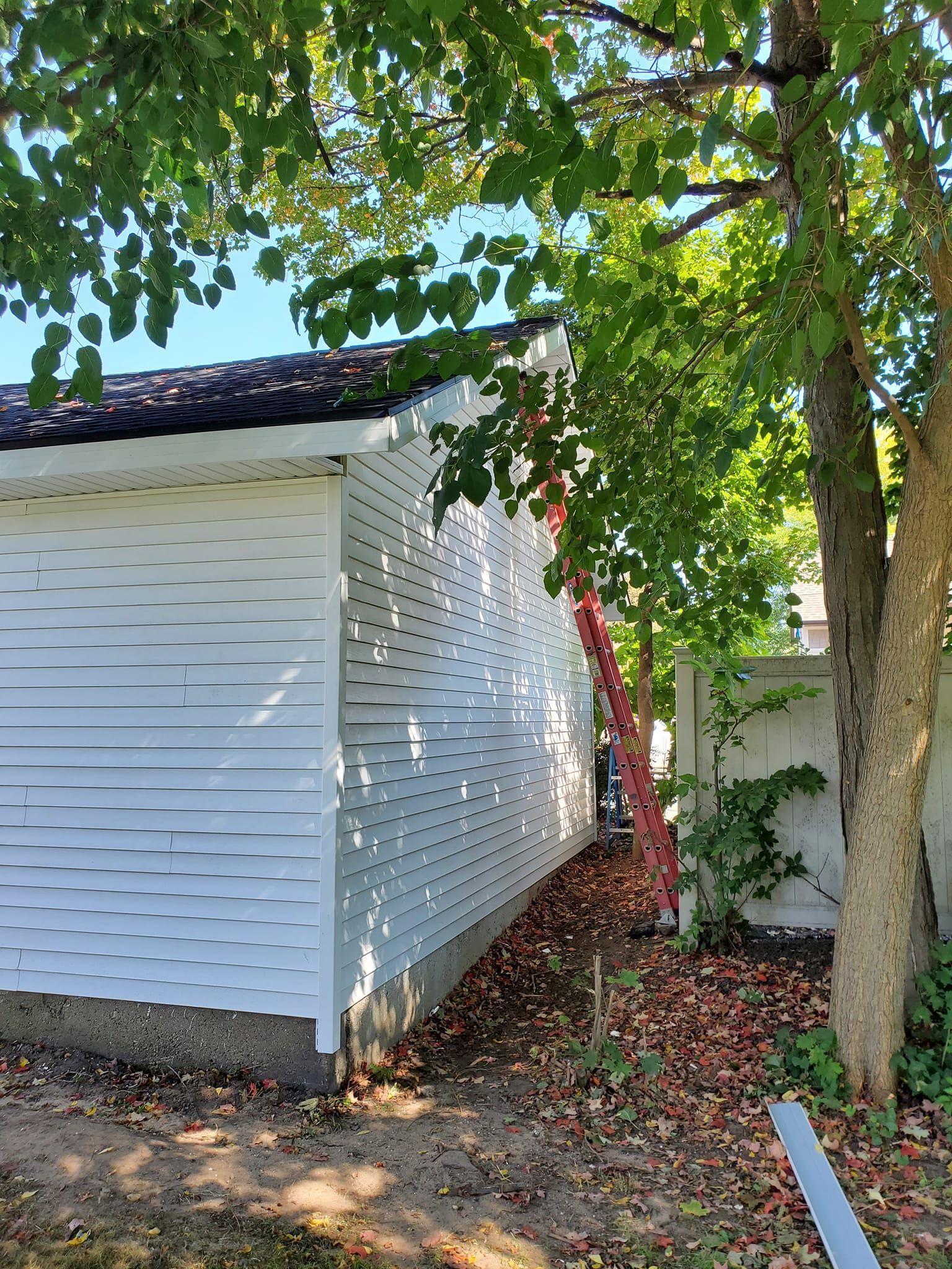 White house side wall beneath leafy trees, with a red ladder leaning against it.