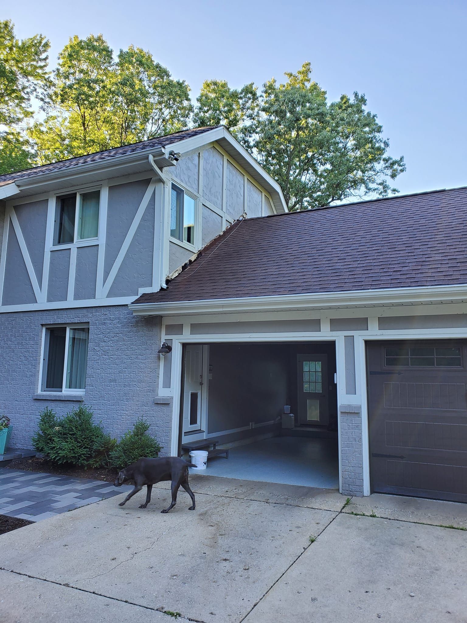Brown dog walking on a driveway beside a suburban house with a garage open and a screened porch.
