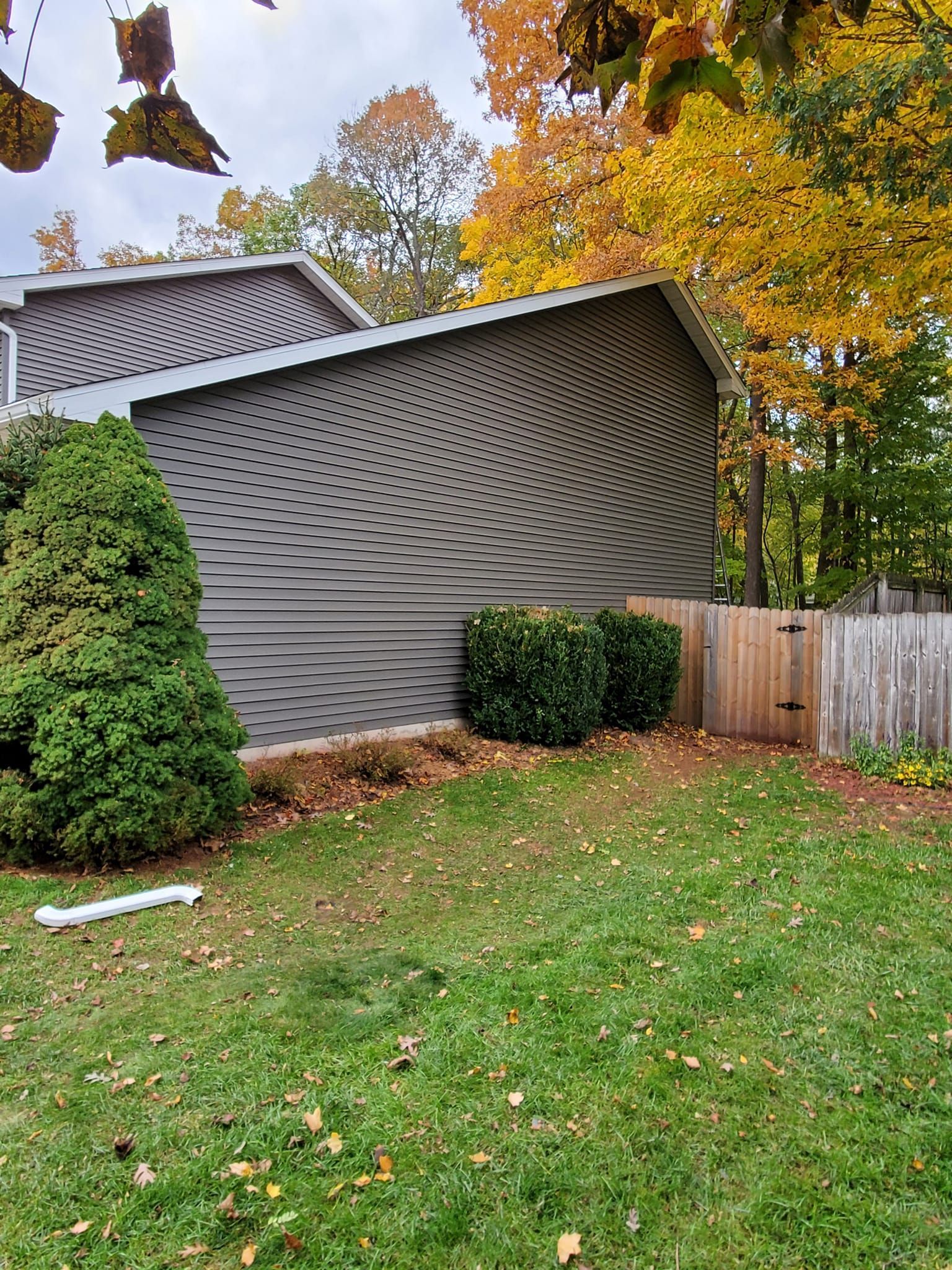 Gray house exterior with a wavy wall mural, green lawn, shrubs, and autumn trees nearby