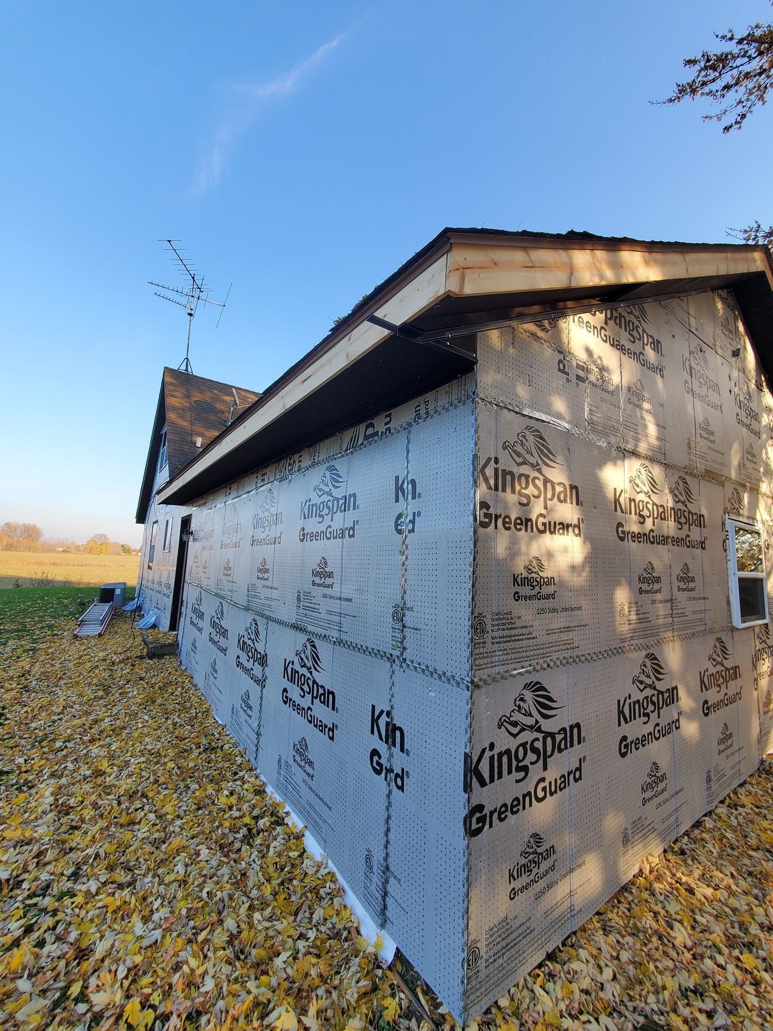 House under construction wrapped in white insulation, with fallen yellow leaves and a clear blue sky.