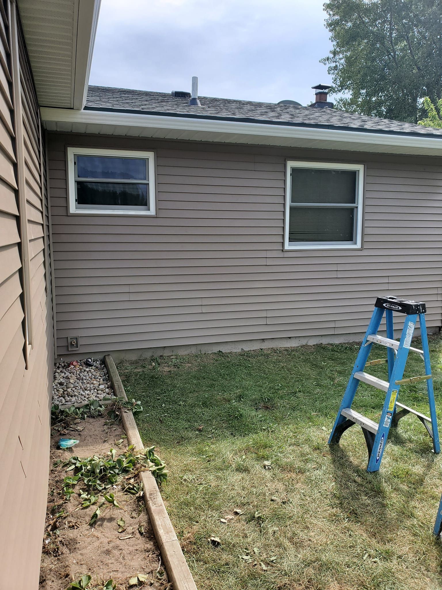 Backyard beside beige house with two windows, grass, and a blue step ladder near the wall
