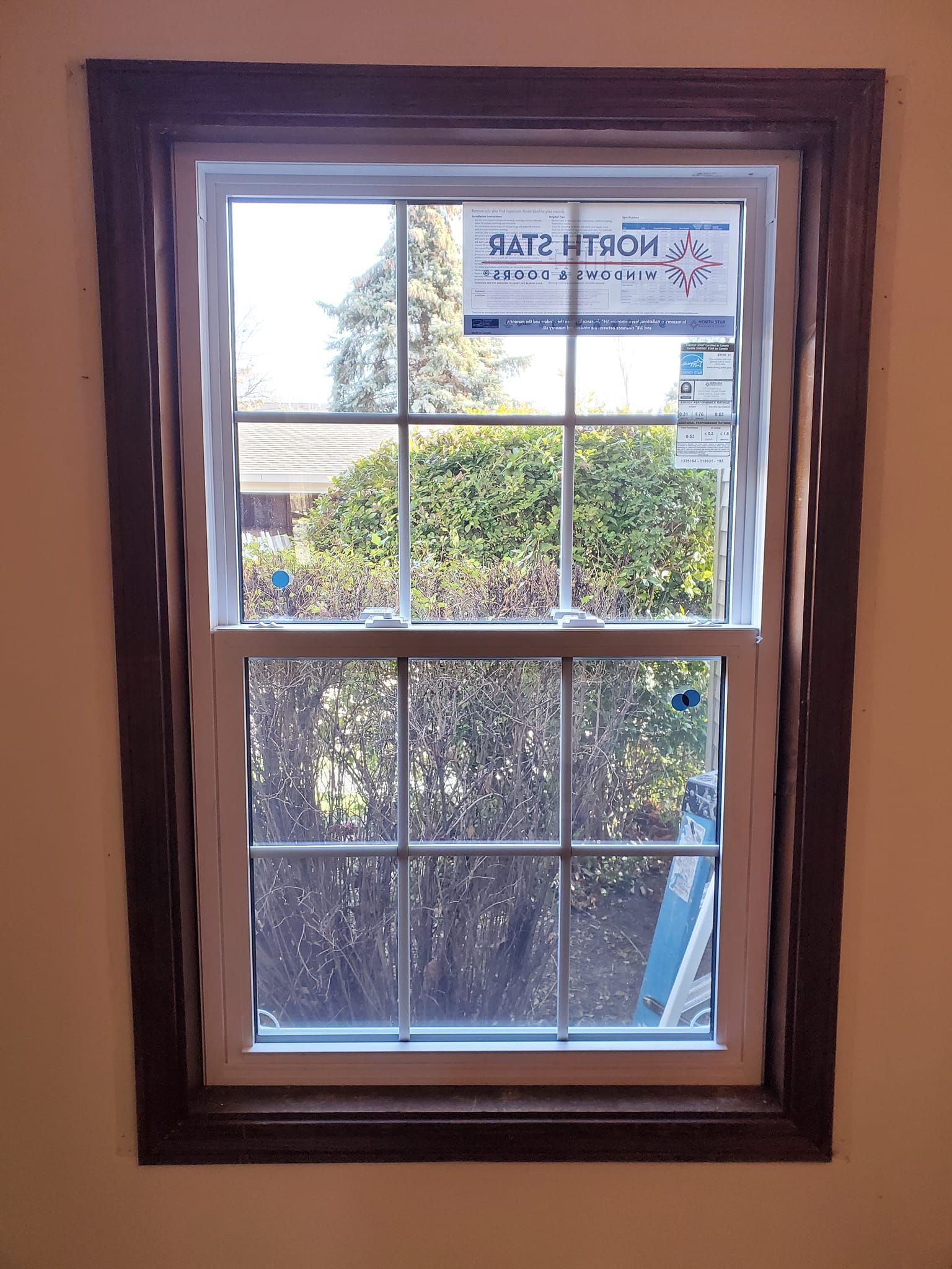 Wood-framed window with divided panes, showing greenery and a house outside.