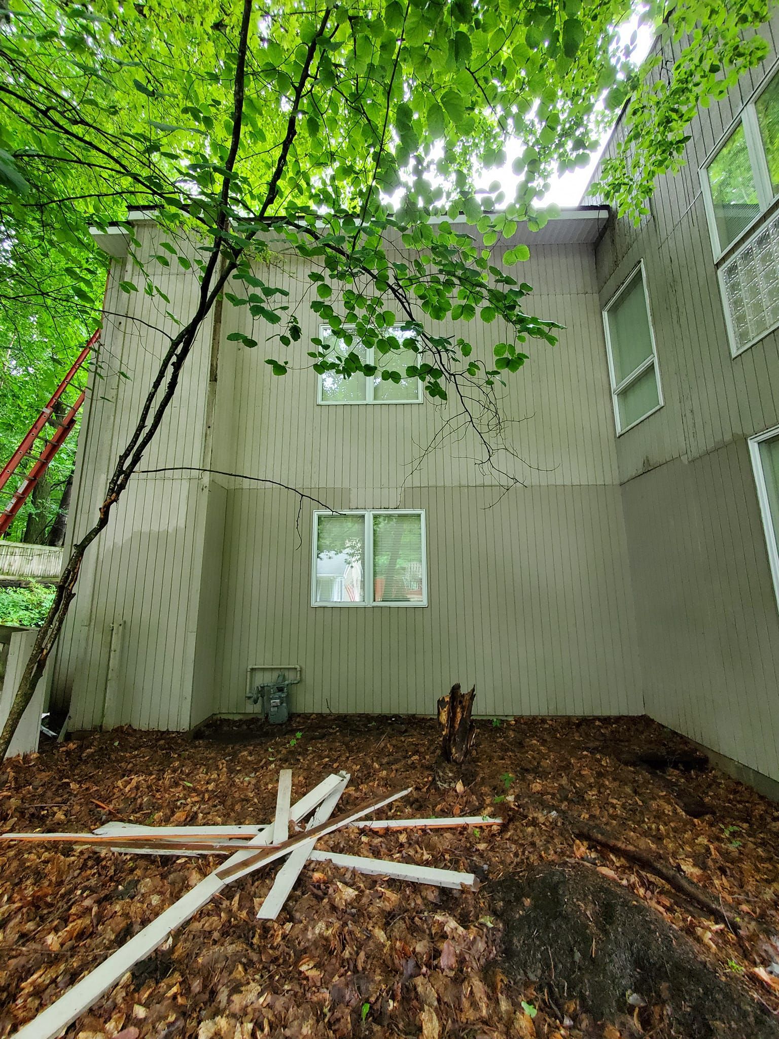 Gray house wall with windows under green trees, wooded hillside, and scattered white boards in foreground