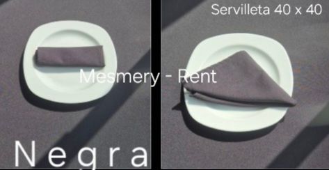 ALQUILADORA MESMERY-RENT & GEMA