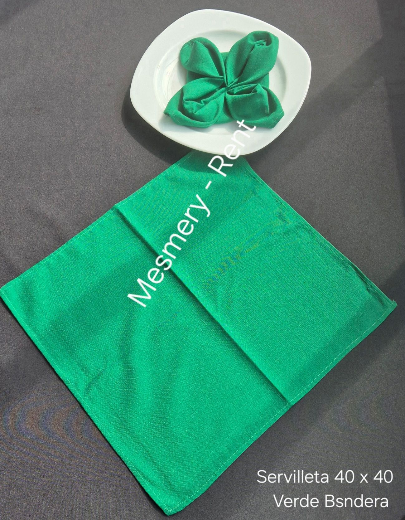 ALQUILADORA MESMERY-RENT & GEMA