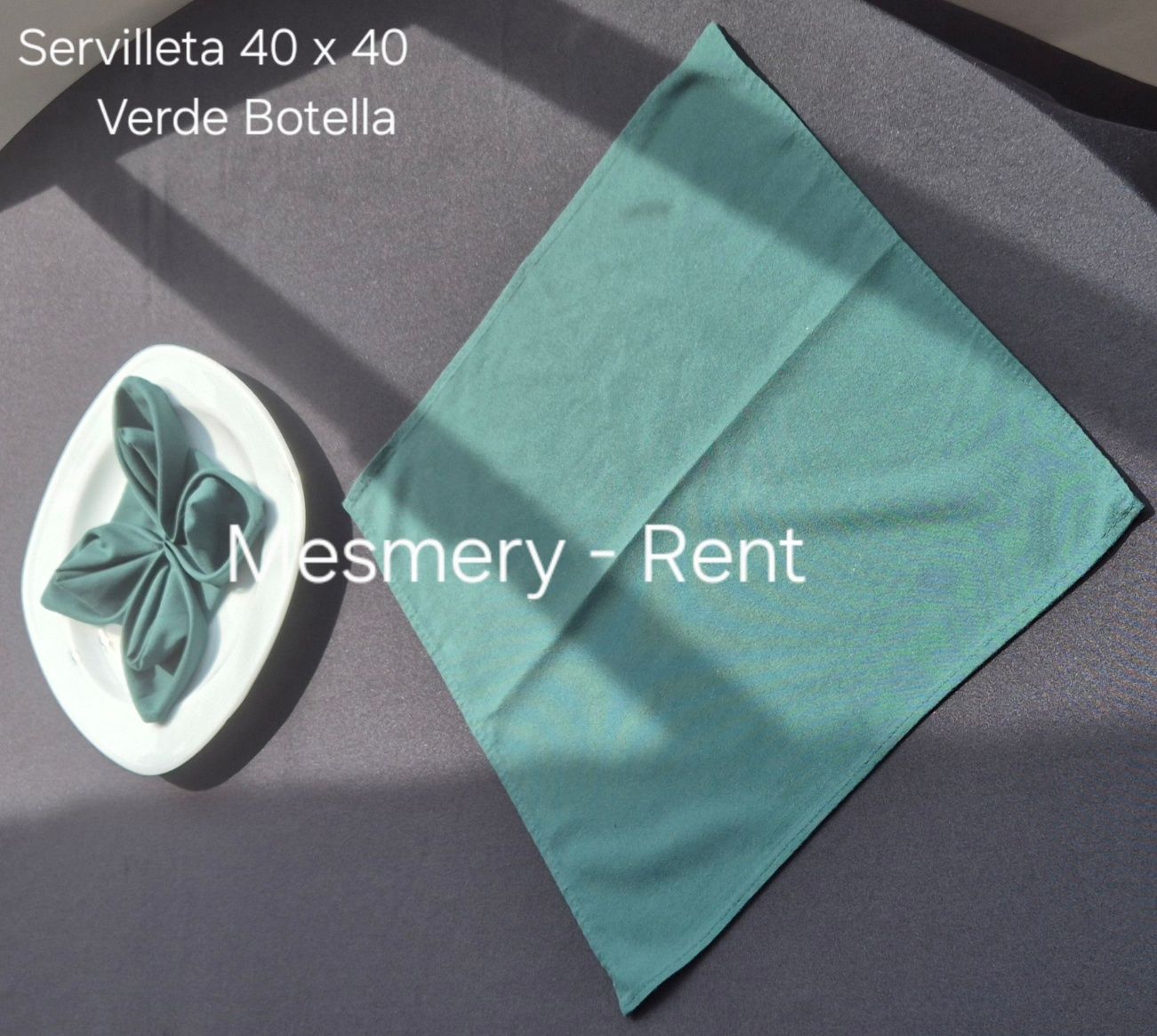 ALQUILADORA MESMERY-RENT & GEMA