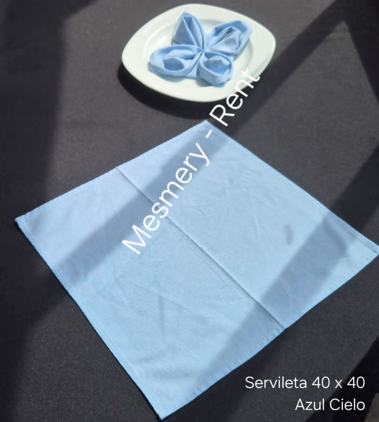 ALQUILADORA MESMERY-RENT & GEMA