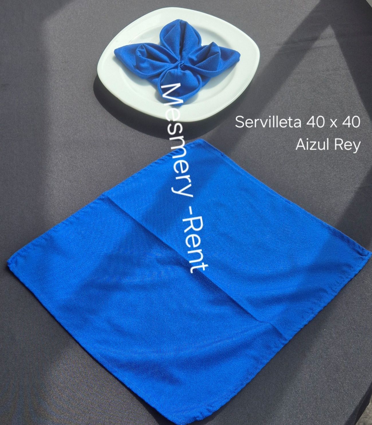 ALQUILADORA MESMERY-RENT & GEMA