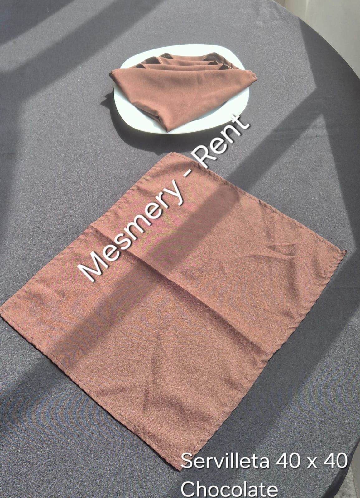 ALQUILADORA MESMERY-RENT & GEMA