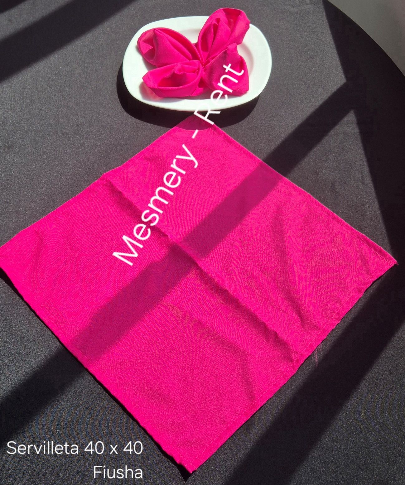 ALQUILADORA MESMERY-RENT & GEMA
