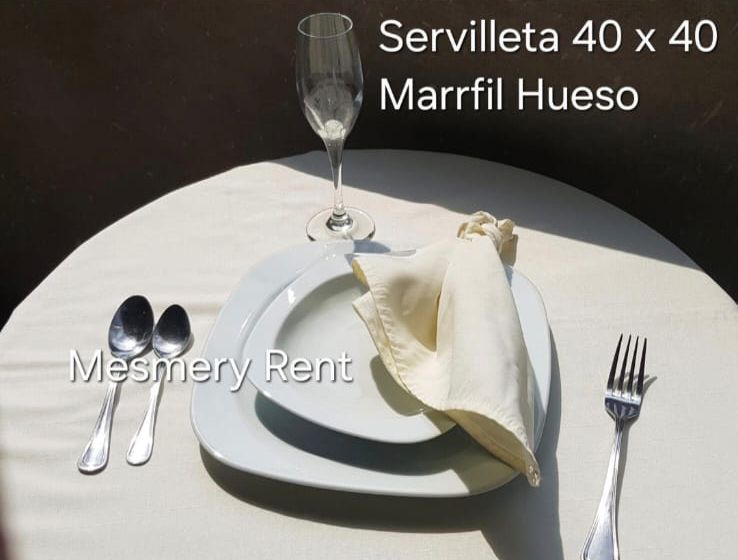 ALQUILADORA MESMERY-RENT & GEMA