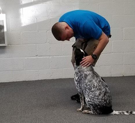 Client with their black and white dog during a training session