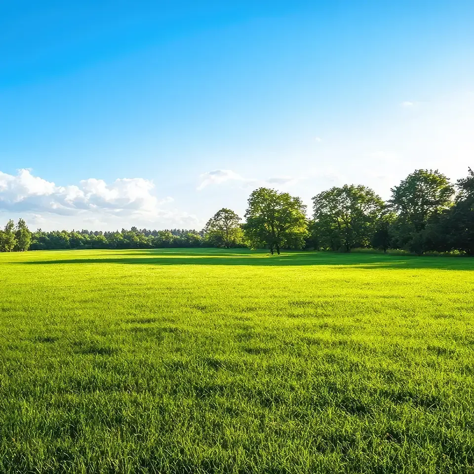 Bright green field under a clear blue sky with trees along the horizon