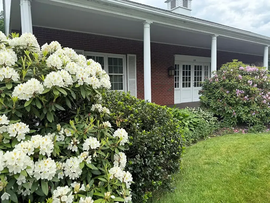 Flowering shrubs and manicured lawn in front of funeral home with white columns and windows