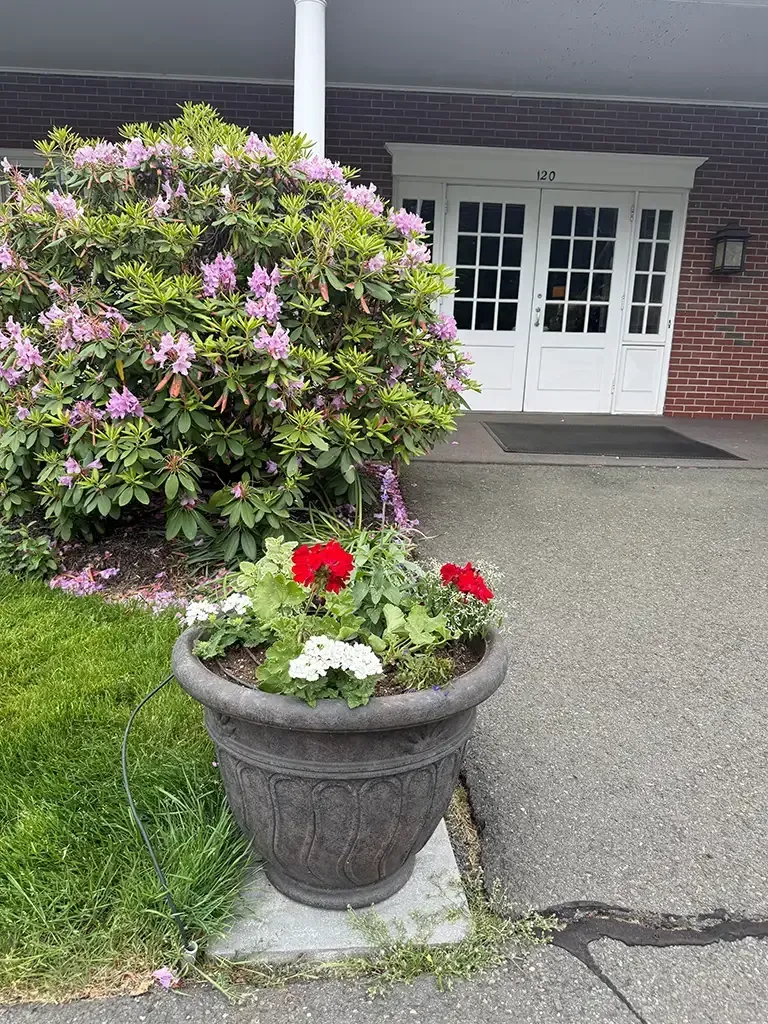 Front porch with a large flowering shrub and a planter of red and white flowers by white double doors