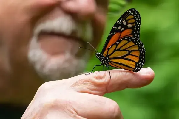 Monarch butterfly perched on a person’s fingertip, with a blurred smiling face in the background