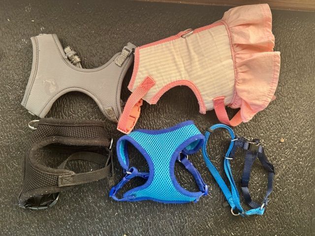 Five dog harnesses of different styles and colors on a dark surface.