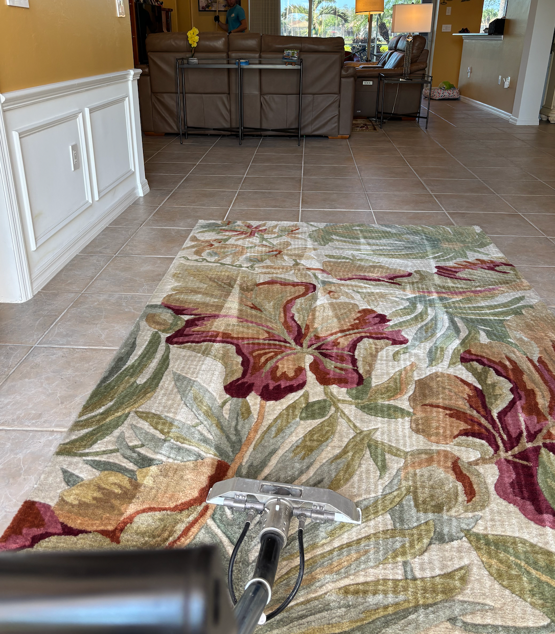 rug