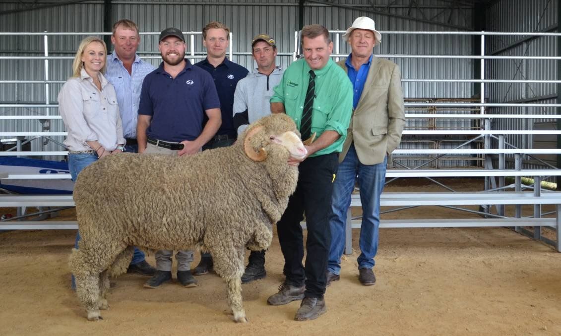 five peoples with the sheep