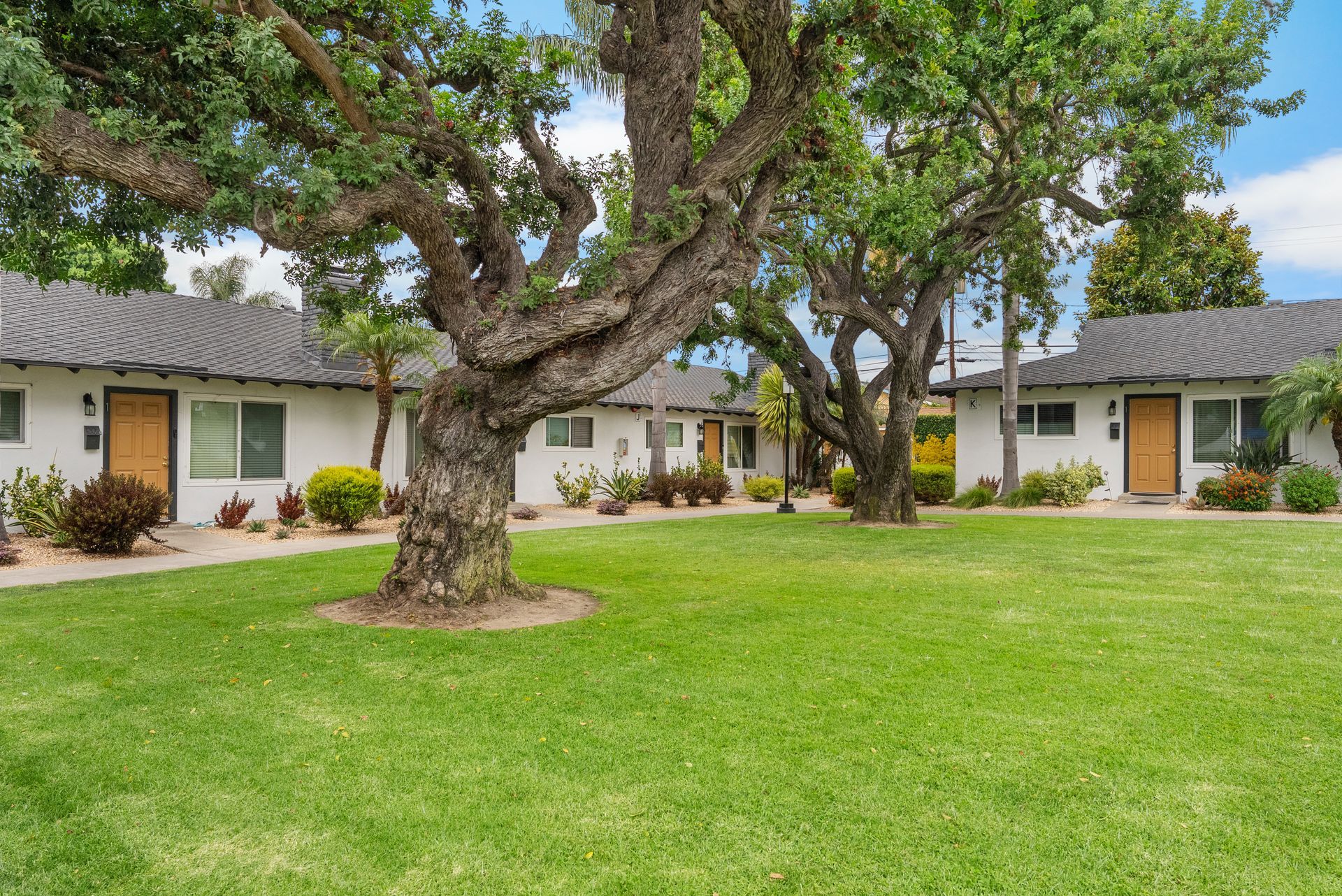 grass field with trees and apartments