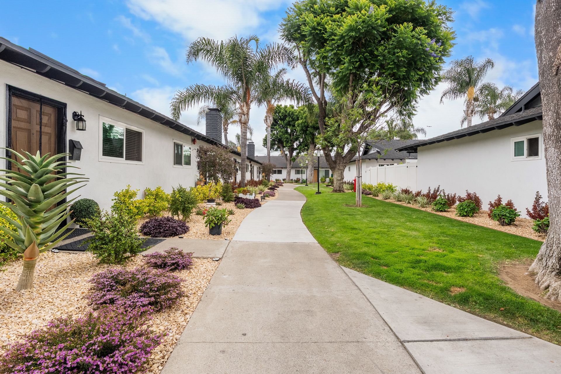walkway through apartments with pants and grass
