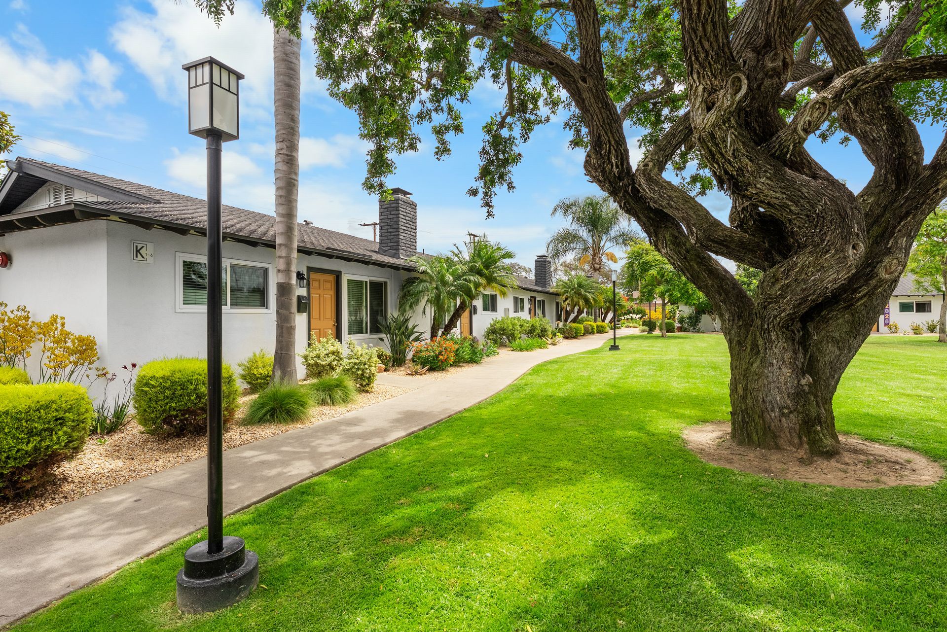 tree and lighting exterior at washington place