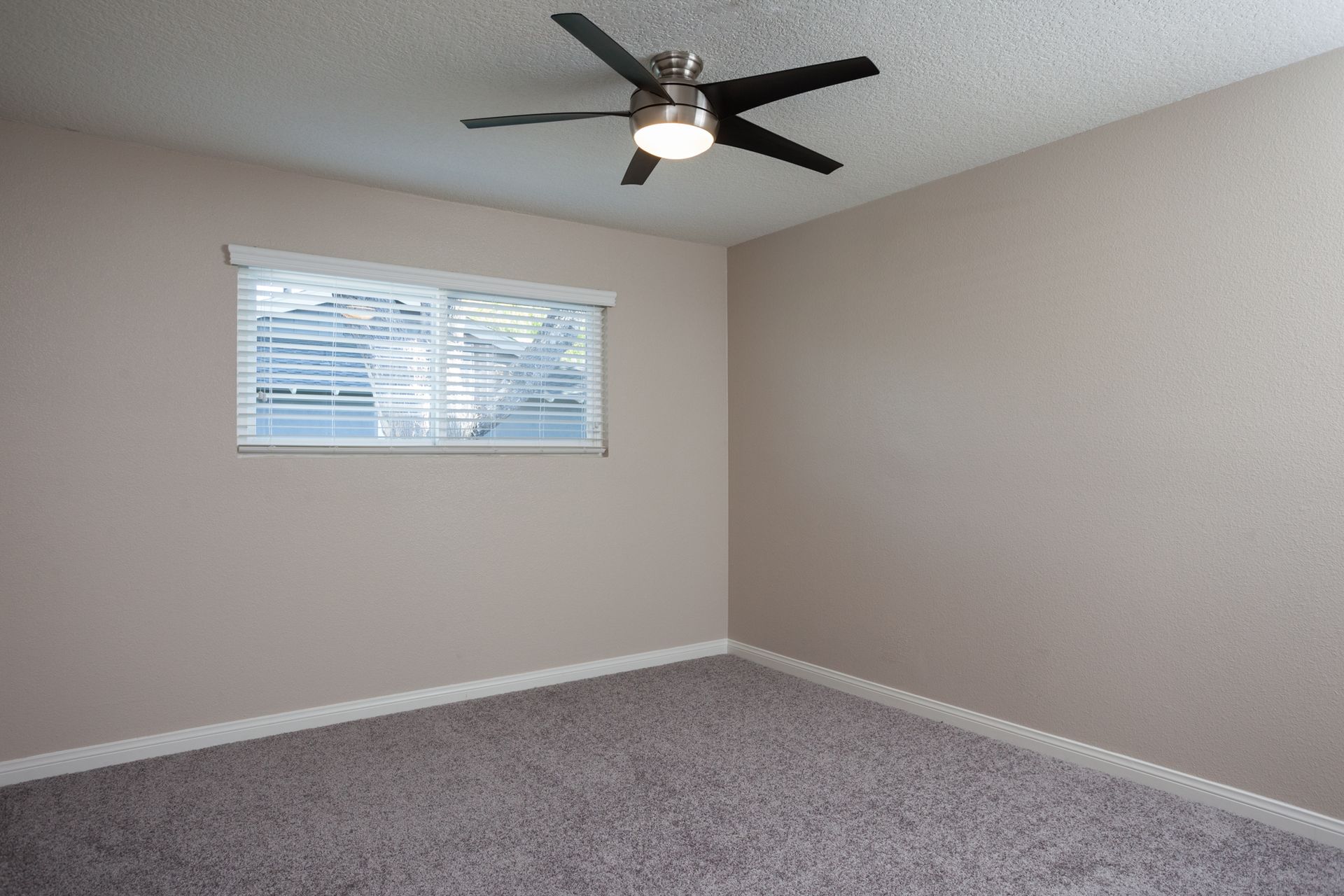 Washington Apartments photo gallery