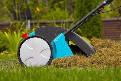 landscaper and tree service sarasota siesta key fl