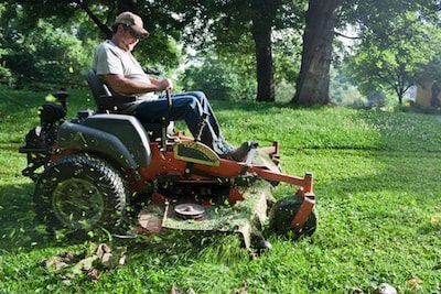 landscaper and tree service sarasota fl