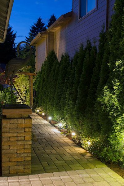 professional landscaping company and lighting sarasota tallevast fl