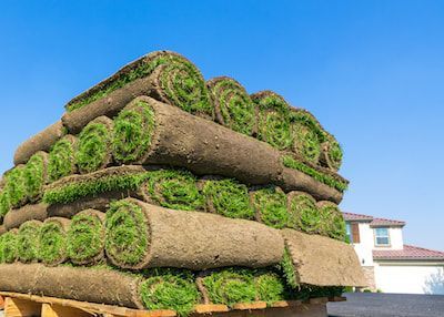 professional sod installation sarasota fl