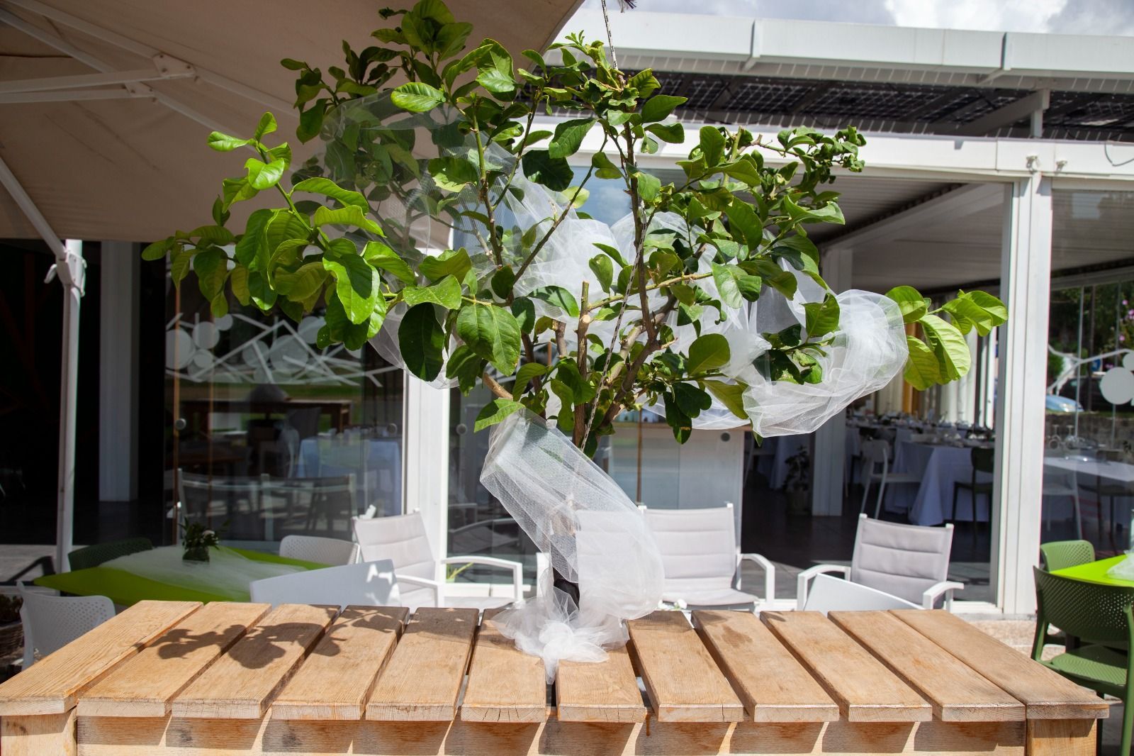 Eventi da Zest Life Foodbar a Pomigliano d'Arco