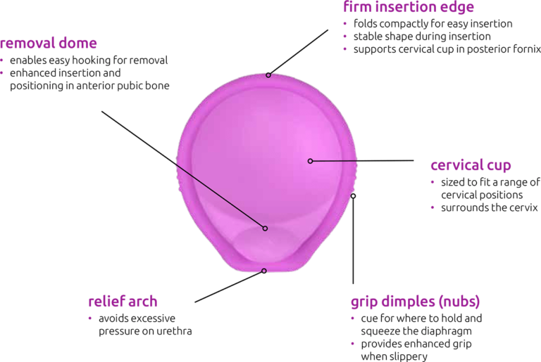 Caya Contoured Diaphragm design