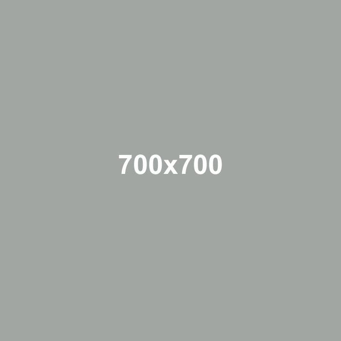 Gray placeholder with centered white text “700x700”
