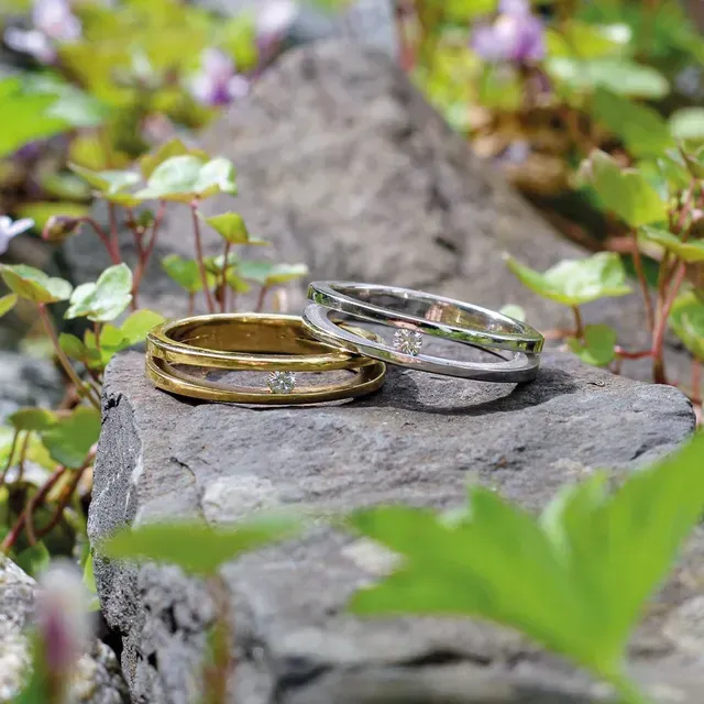 Twee gouden en zilveren ringen rusten op een steen in de buitenlucht, tussen groene bladeren en paarse bloemen.