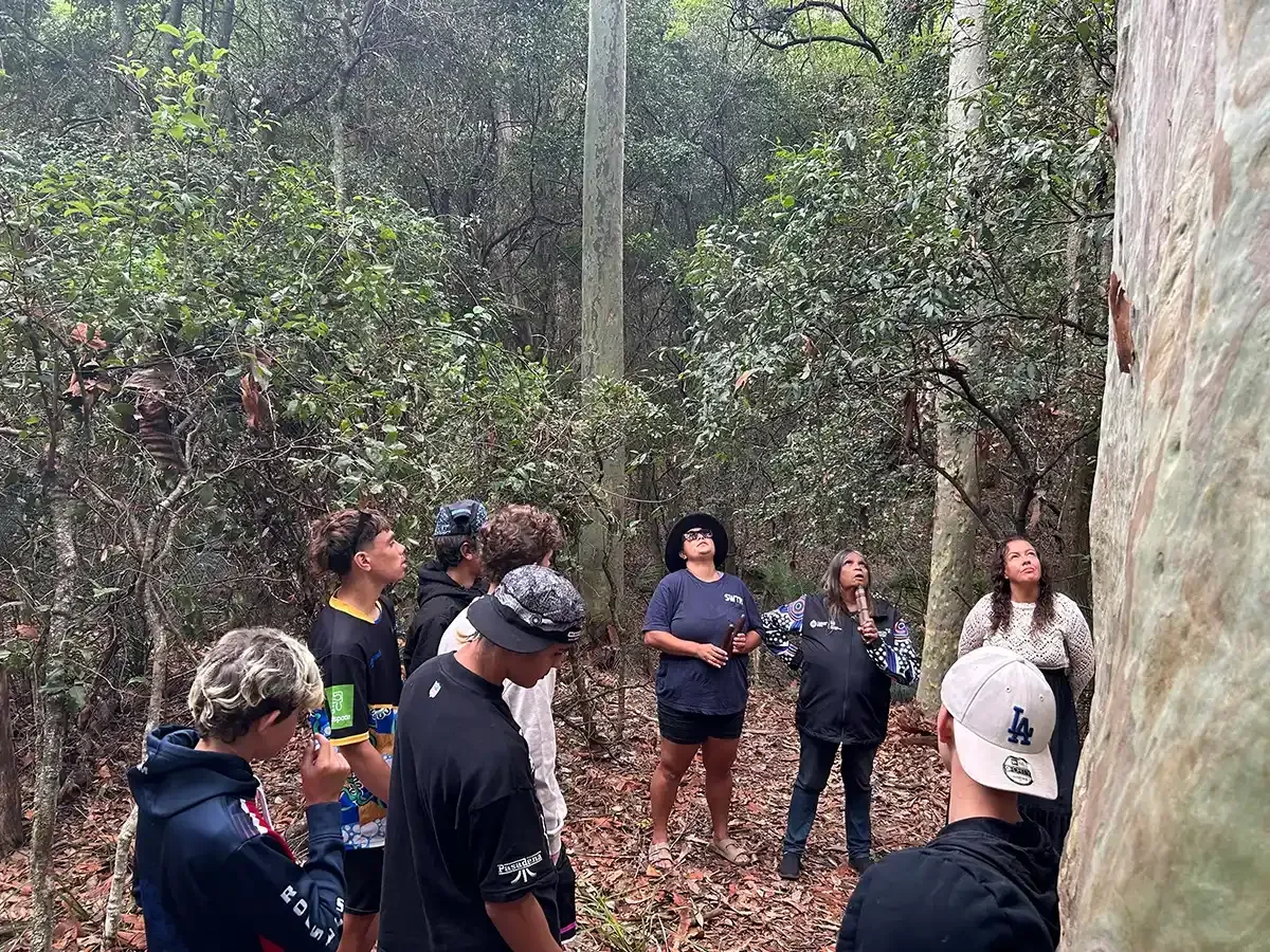 Group of people looking up at a rock face in a forest.