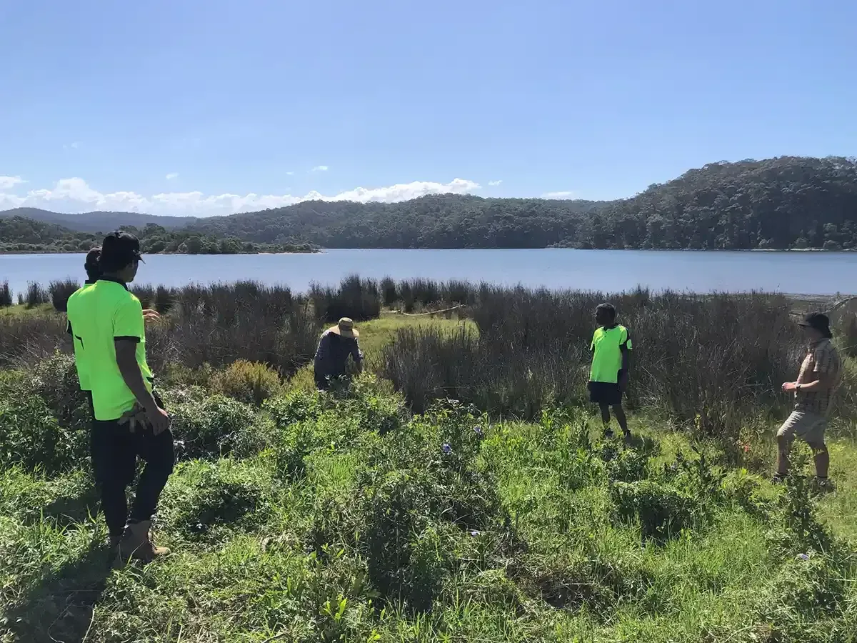 Four people in a grassy field near a lake. Two wear neon green shirts. Sunny day.